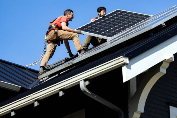 Best Roof Moss and Algae Removal  in Swansboro, NC